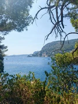 View of Cap d'Ail Coast Through Pine Trees Frame Fotos de archivo