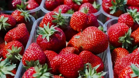 A view of capacities full of strawberries Video stock 91744418