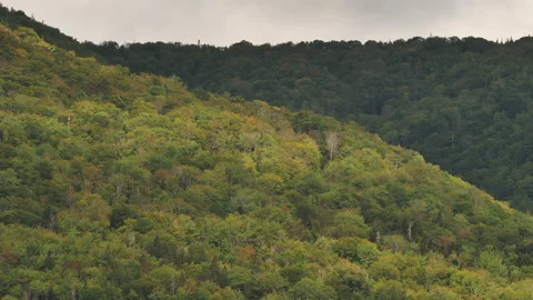 View from Cape Clear, Cape Breton, Nova Scotia Stock Footage 231238367