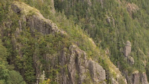 View from Cape Clear, Cape Breton, Nova Scotia Stock Footage 231238912