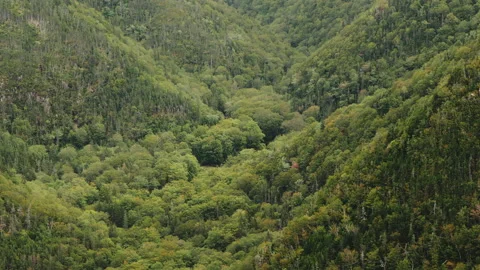 View from Cape Clear, Cape Breton, Nova Scotia Stock Footage 231239309