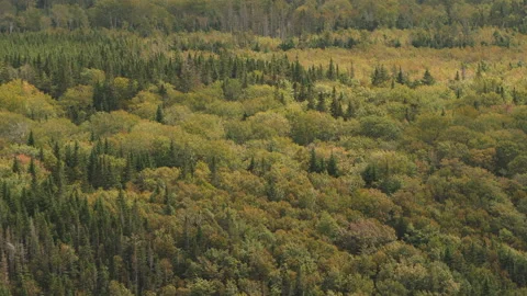 View from Cape Clear, Cape Breton, Nova Scotia Stock Footage 231239499