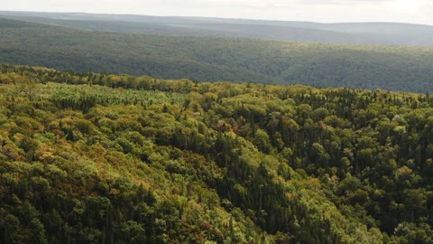 View from Cape Clear, Cape Breton, Nova Scotia Stock Footage 231239561