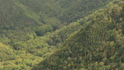 View from Cape Clear, Cape Breton, Nova Scotia Stock Footage 231239640