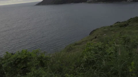 View from the cape to the sea Video stock 220693801