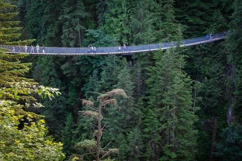 View of the Capilano Bridge in the middle of the forest, with people crossi.. Foto stock