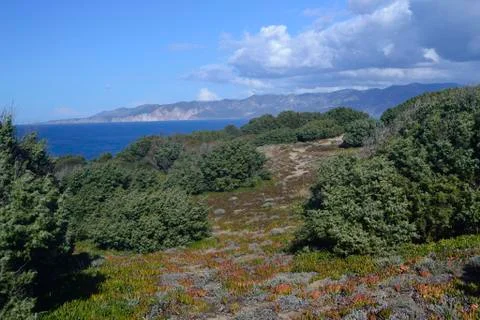 View of Capo Altano Stock Photos