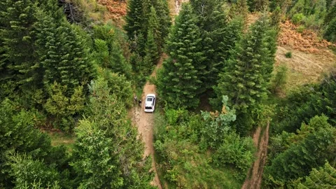 View of car from above moving by trail road in forest Stock Footage 147282356