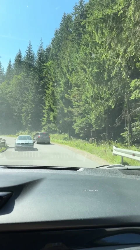 View from the car of carpathian road Stock Footage 253547897