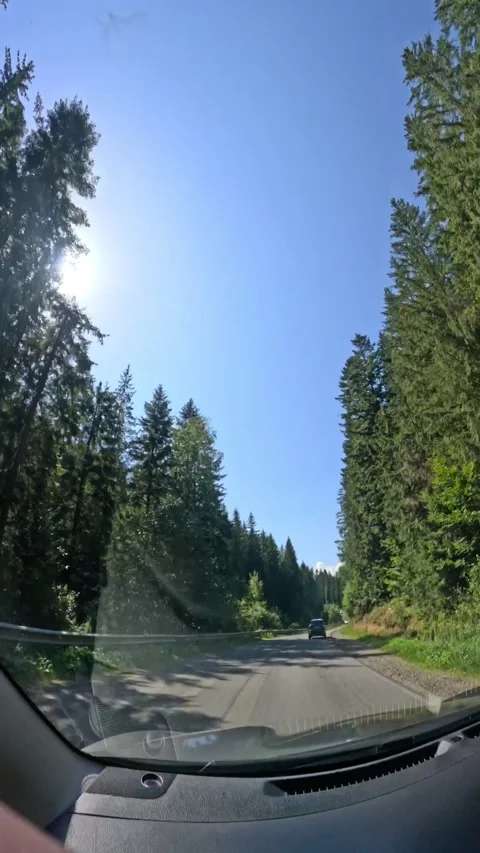 View from the car of carpathian road Stock Footage 255016637