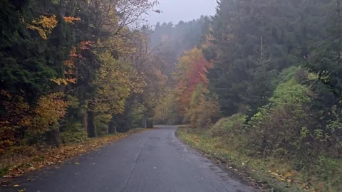 View from a car driving along a winding mountain road lined with tall trees.. Stock Footage 323440317