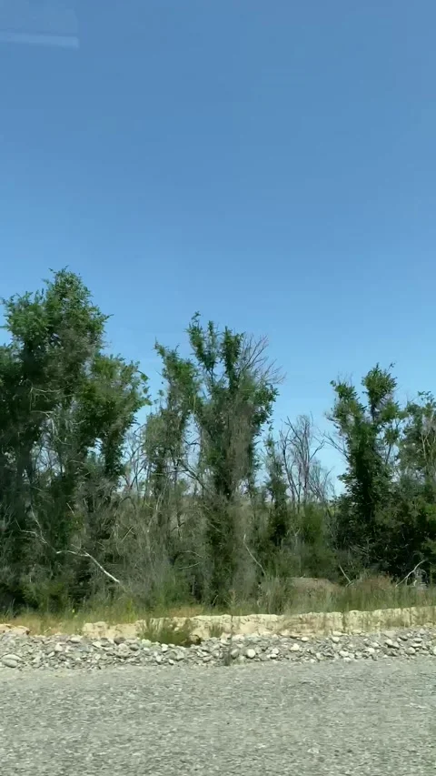 View from the car during a road trip Stock Footage 251919217
