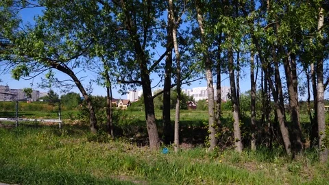 View from the car Stock Footage 108234576