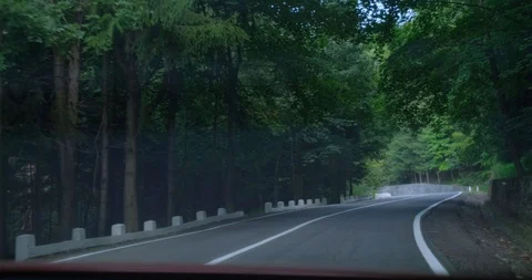 View from the car Stock Footage 121109685