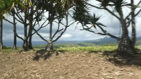 View from a car Stock Footage 153219058