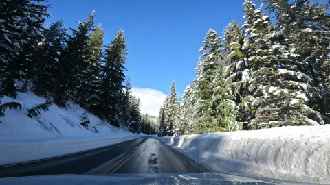 View from car on mounted camera on front glass. Driving in Mount Rainier Stock Footage 241608252