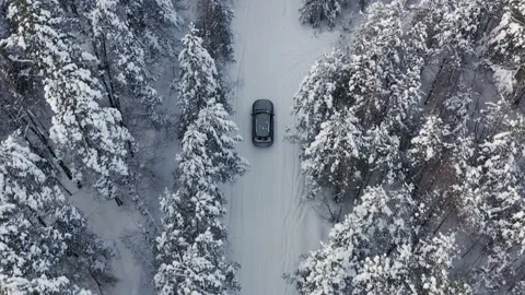 View of car moving on area surrounded by beautiful coniferous forest. Stock Footage 147146025