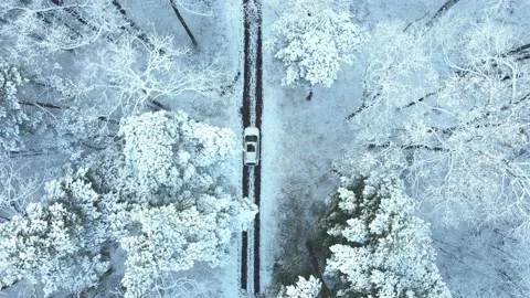 View of car moving by snowed forest trail Stock Footage 144342311