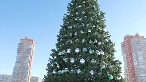 View from the car to the New Year tree in the city center Stock Footage 167924141