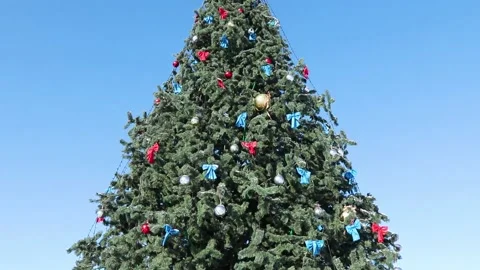 View from the car to the New Year tree in the city center Stock Footage 167924147