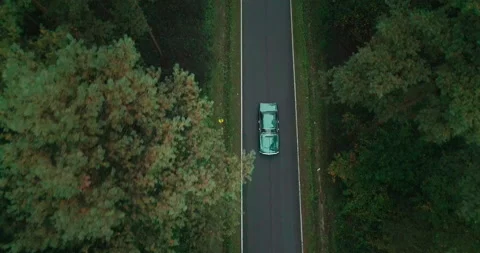 View of car on road between forests, Poland Stock Footage 147865648