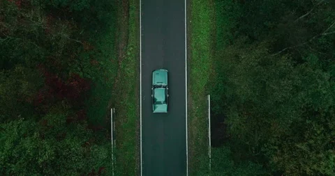 View of car on road between forests, Poland Video stock 147866353