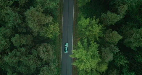 View of car on road between forests, Poland Stock Footage 147867097