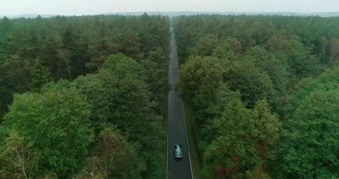View of car on road between forests, Poland Stock Footage 147876512