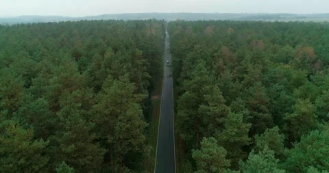 View of car on road between forests, Poland Stock Footage 147877736