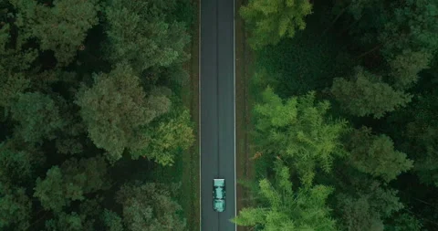 View of car on road between forests, Poland Stock Footage 147881658