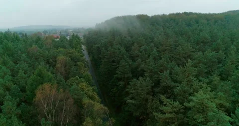 View of car on road between forests, Poland Stock Footage 147881956