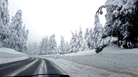 View from car on road between snowy trees. Stock Footage 102258393