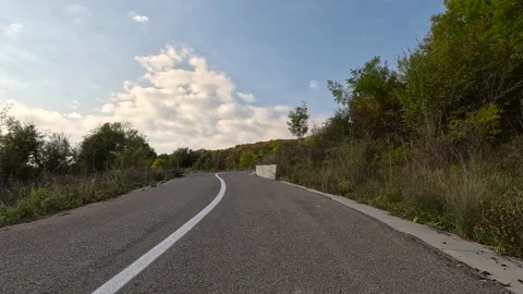 View of the car on the road in the forest. Video stock 224234617