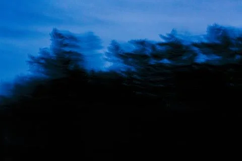 View from a car of roadside trees, blurred motion, at dusk. Foto stock