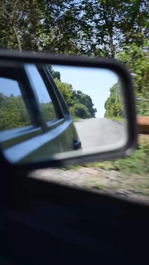 View from a car side window of a green summer forest passing by at high speed Stock Footage 281839927