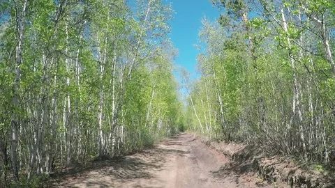 View from Car. Summer Road Trip on Off Road in Sunny Day Stock Footage 80071066