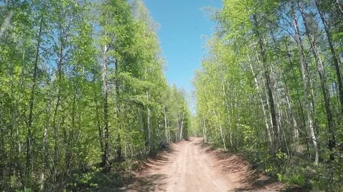 View from Car. Summer Road Trip on Off Road in Sunny Day Stock Footage 80072906