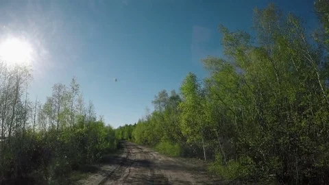 View from Car. Summer Road Trip on Off Road in Sunny Day Stock Footage 80074600