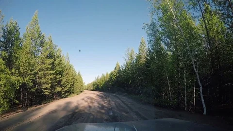 View from Car. Summer Road Trip on Off Road in Sunny Day Stock Footage 81024809