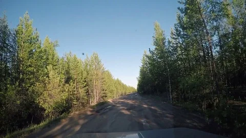View from Car. Summer Road Trip on Off Road in Sunny Day Stock Footage 81030896