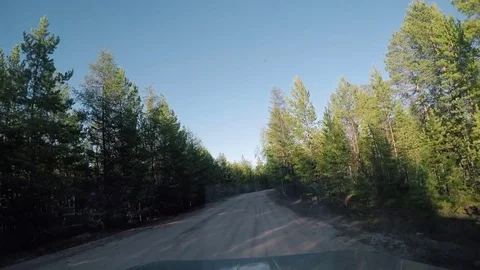 View from Car. Summer Road Trip on Off Road in Sunny Day Stock Footage 81034559