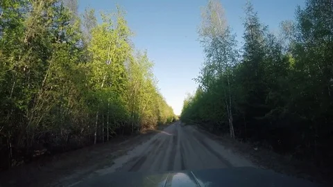 View from Car. Summer Road Trip on Off Road in Sunny Day Stock Footage 81039599