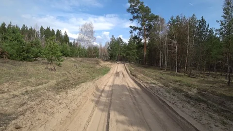 View from the car through the windshield of a forest sand road among trees in Stock Footage 111788213