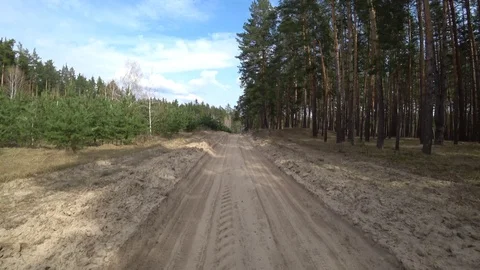 View from the car through the windshield of a forest sand road among trees in Stock Footage 111788235