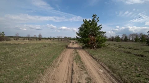 View from the car through the windshield of a forest sand road among trees in Stock Footage 111788269
