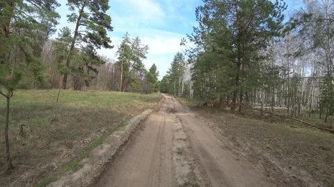 View from the car through the windshield of a forest sand road among trees in Stock Footage 111788351