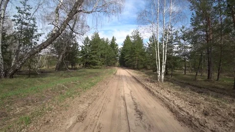 View from the car through the windshield of a forest sand road among trees in Stock Footage 111788391