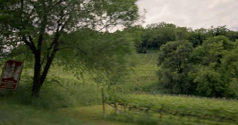 View the car window to the beautiful fields of vineyards in the Dolomite Alps. Video stock 277252151