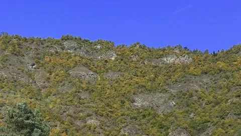 View from car window of blue sky, mountain, tree, grass, forest Stock Footage 298692354