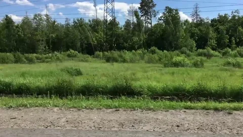 The view from the car window in drive Stock-Footage 78944982